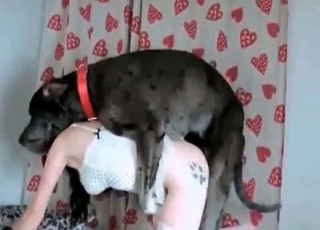 Skinny GF screwing a real nice doggy-style