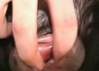 Zoophile takes the bestiality virginity of a dog