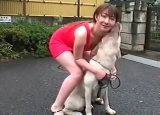 Asian chick teasing her marvelous dog