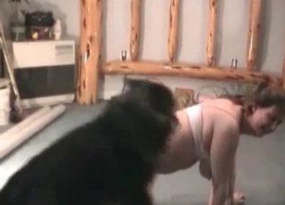 Fat whore and her endowed husky