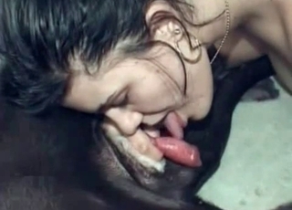 Dog dick being gobbled and pleasured