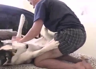 Big-dicked dog gets a super-cute hand job