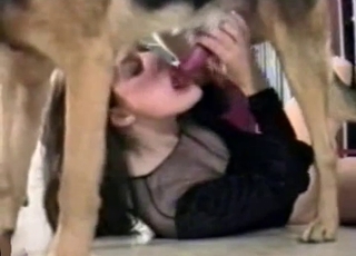 Pervert brunette wants to suck a dog cock like a slut