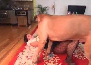 Rise up your skirt for a dog