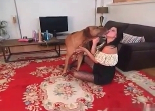 Rise up your skirt for a dog