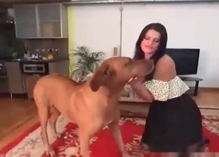 Rise up your skirt for a dog
