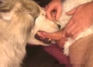 Disgusting amateur zoophilia with my doggy