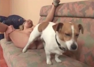 Blonde with a great body about to be fucked by a dog
