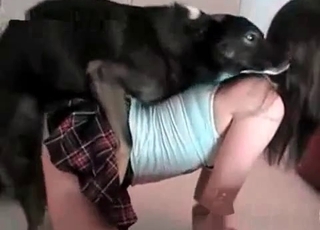 Amazing girl wants to have bestial fun with a doggie