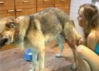 Doggy is getting a very nice hand job