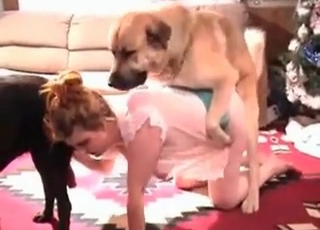 Amazing doggy loving her juicy vagina