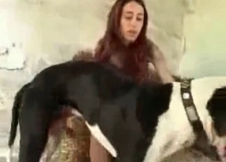 Big doggy and uber-cute chick having dirty romp