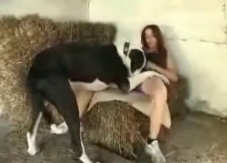 Big doggy and uber-cute chick having dirty romp