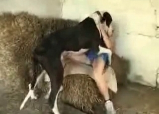 Big doggy and uber-cute chick having dirty romp