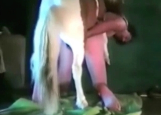 Dog is having an awesome fuck-a-thon at the farm