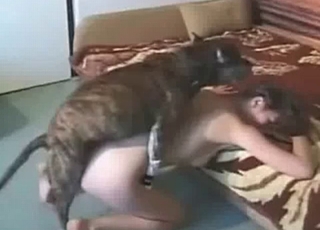 Mutt fucking in a haystack