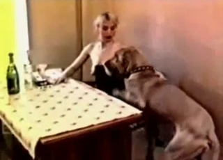 Slim towheaded slut is banged indeed rigid by a dog