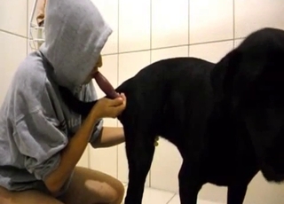 Black dog gives in to temptation