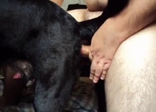 From the rear fuck-a-thon for a human and a horny doggystyle