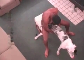 Stunning anal hump with a dog