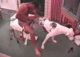 Stunning anal hump with a dog