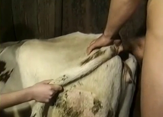 Juicy bestiality threesome with an awesome doggy lover