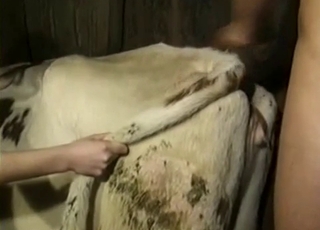 Juicy bestiality threesome with an awesome doggy lover