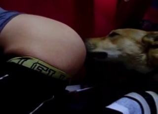 Man with a big butt is sexually teased by a lovely mutt