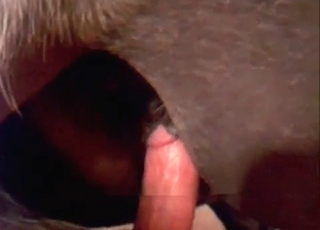 Horny fellow is dominating a hot animal in doggy style