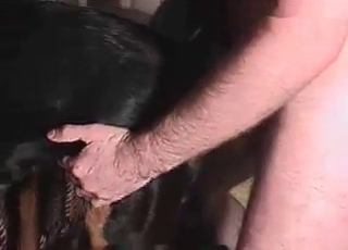 Doggy's ass is good for a zoophile
