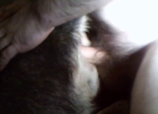 Slowly sticking my cock in rear end asshole