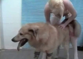 Huge fur covered dog and slim mega-slut
