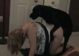 Dark-hued dog plows my booty