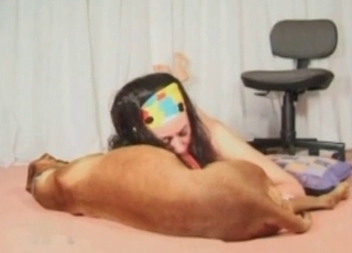 Dark-haired wears a mask and gives a blowjob to a brown doggo