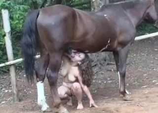 Crazy doggy style fuck with huge stallion