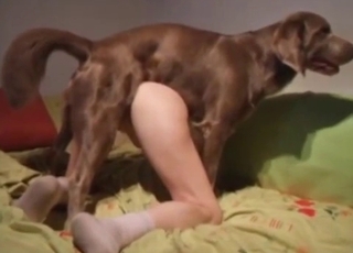 Intensive anal invasion sex with a gorgeous trained rear end