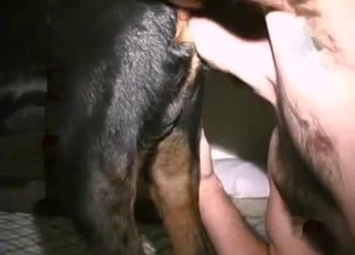 Fantastic bestiality with a small ebony dog