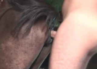 Sexy stallion porked hard in doggy style pose