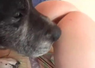 Dog gets to have dirty fun