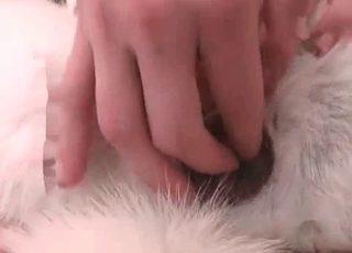 Stellar husky wants to entirely stuff this tight pussy