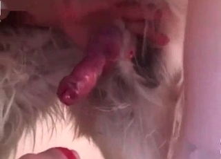 Amazing amateur dog porn looks so sweet