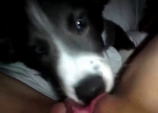 Dirty rear end is deepthroating in the Pov