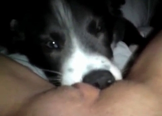Dirty rear end is deepthroating in the Pov
