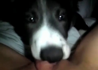 Dirty rear end is deepthroating in the Pov