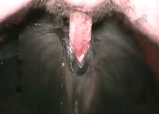 Perverted bestiality action at the farm