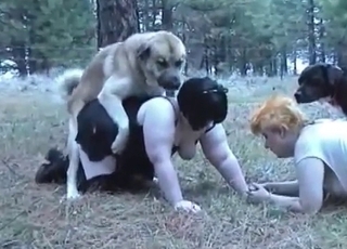 Two fat Mummies and two dogs