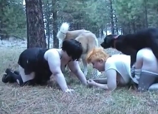Two fat Mummies and two dogs