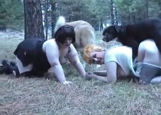 Two fat Mummies and two dogs