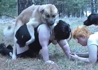 Two fat Mummies and two dogs