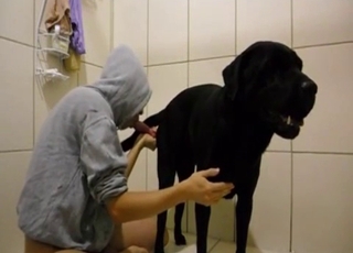 Doberman and a super-steamy girl are both enjoying bestiality